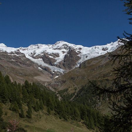 Hotel De Gletscher Gressoney-la-Trinité Esterno foto